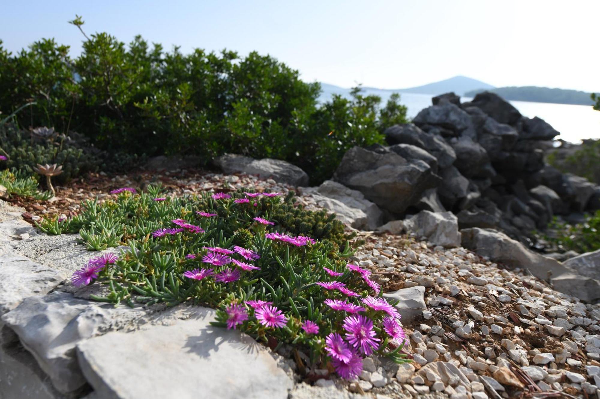 Beach House Marina Grande Betina  Εξωτερικό φωτογραφία